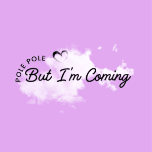 Flexible software solutions for efficient business management.